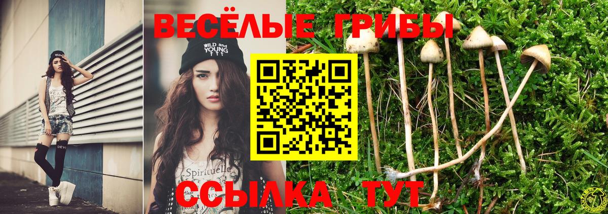 Галлюциногенные грибы Magic Shrooms Пенза